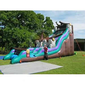 Giant Adult Kids Cheap Inflatable Slide