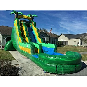 Colorful Water Park Toys Cheap Inflatable Long Water Slide With Kids Joy