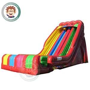 2019 Special Commercial Grade PVC Material Adult Giant Inflatable Water Slide For Sale