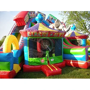 Commercial Kids Inflatable Castle