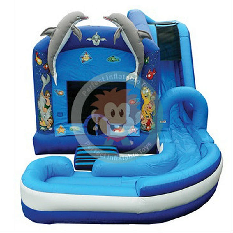 Air Combo Inflatable Bounce