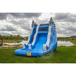 Factory Supply Best Material Kids Giant Bouncing Water Slide For Sale