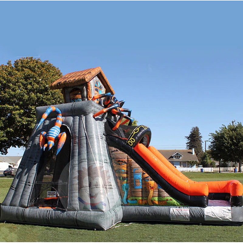 Hot Sale Summer New Design Small Inflatable Water Slide For Kids And Adults