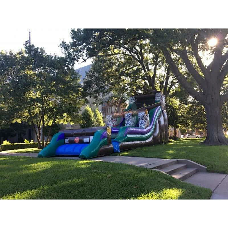 Giant Adult Kids Cheap Inflatable Slide