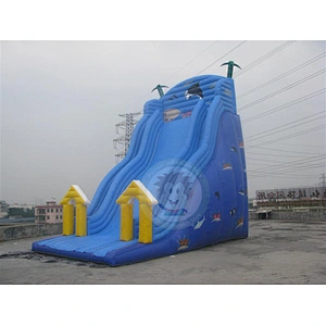 Hot Sale Summer New Design Small Inflatable Water Slide For Kids And Adults