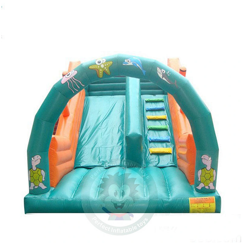 Professional Custom Design Colorful Double Slide Giant Inflatable Water Slide