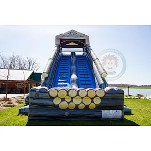 Factory Supply Cheap Price Good Quality Adult Inflatable Water Slide With Pool