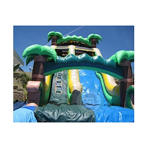 Cheap Water Park Equipment PVC Material Inflatable Water Slide For Sale