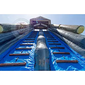 Factory Supply Cheap Price Good Quality Adult Inflatable Water Slide With Pool