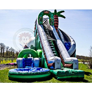 Chinese Factory Professional Design Fiberglass Spiral Water Slide For Sale