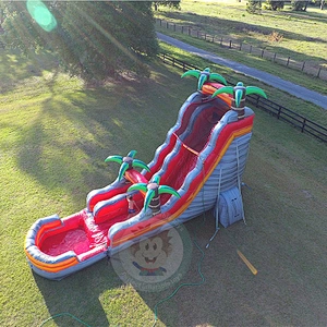 Cheap Factory Price Commercial Water Park Equipment Inflatable Slide For Sale