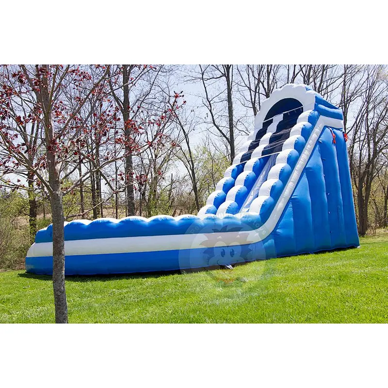 Outdoor Games For Adults Toy High Quality Giant Curvy Inflatable Water Slide