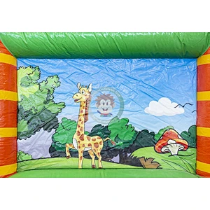 Air Combo Inflatable Bounce