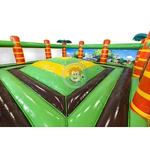 Air Combo Inflatable Bounce