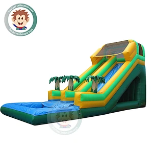 Factory Best Price Adult Size Summer Perfect Inflatable Water Slide For Sale