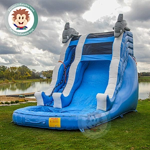 Colorful Water Park Toys Cheap Inflatable Long Water Slide With Kids Joy