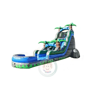Durable PVC Material Giant Adult Size Inflatable Water Slide For Sale