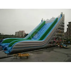 Dinosaur Bouncy Inflatable Big Slide