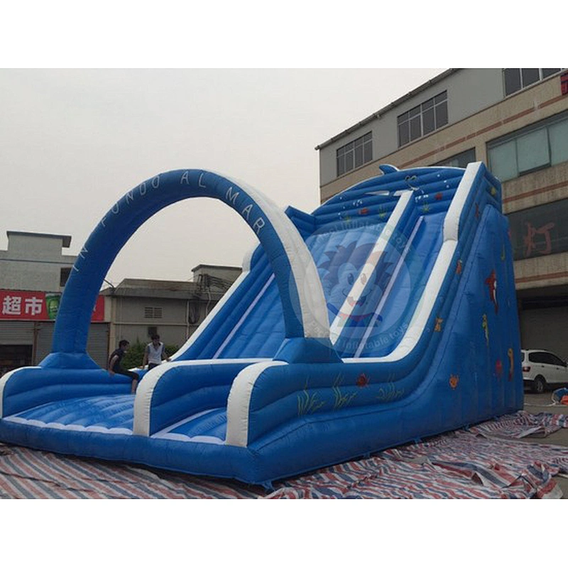 Factory Supply Cheap Price Good Quality Adult Inflatable Water Slide With Pool