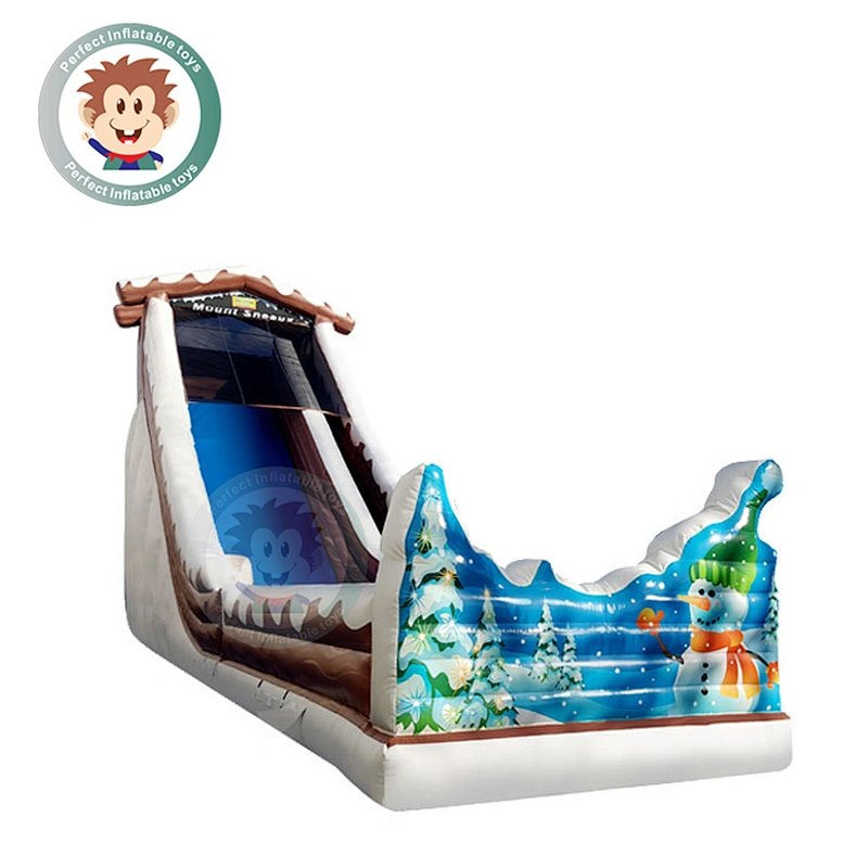 Customized Giant Water Park Used Inflatable Slip N Water Slide For Sale