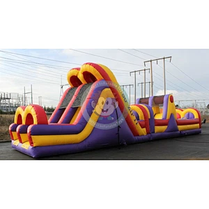 Giant Adult Inflatable Obstacle Course