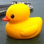 This summer is boring? Large air model big yellow duck accompany you to play summer ~