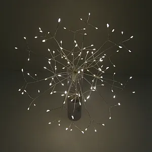 rainbow color REMOTE CONTROL LED FIREWORKS LIGHT
