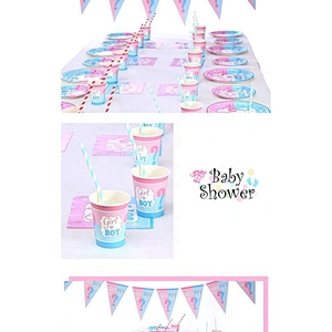 Eco friendly Gender Reveal Decoration Set plates cups Napkins Confetti Balloons Tablecloth baby shower decoration