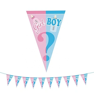 Eco friendly Gender Reveal Decoration Set plates cups Napkins Confetti Balloons Tablecloth baby shower decoration