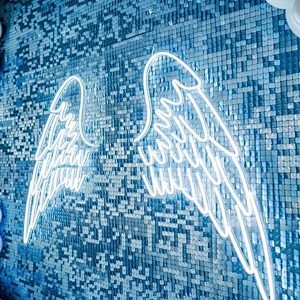 Sky Blue 2021 Hot Sale 3d Disc Clip Clear Wind Sequin Panel Shimmer Wall For Baby Shower Birthday Party Event Decoration