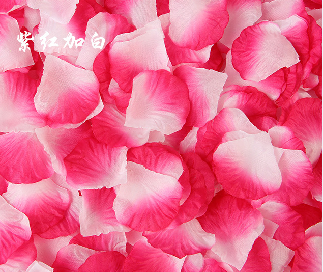 Wedding China Biodegradable Hot Sale Top Quality Good Looking Nice Holiday Effect Party Popper Supplies Red Rose Petal Confetti