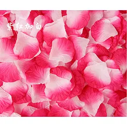 Wedding China Biodegradable Hot Sale Top Quality Good Looking Nice Holiday Effect Party Popper Supplies Red Rose Petal Confetti