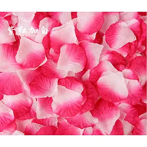 Wedding China Biodegradable Hot Sale Top Quality Good Looking Nice Holiday Effect Party Popper Supplies Red Rose Petal Confetti