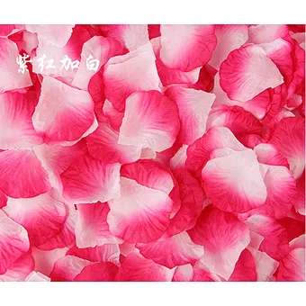Wedding China Biodegradable Hot Sale Top Quality Good Looking Nice Holiday Effect Party Popper Supplies Red Rose Petal Confetti