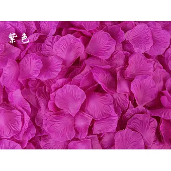 Wedding China Biodegradable Hot Sale Top Quality Good Looking Nice Holiday Effect Party Popper Supplies Red Rose Petal Confetti