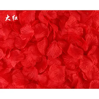 Wedding China Biodegradable Hot Sale Top Quality Good Looking Nice Holiday Effect Party Popper Supplies Red Rose Petal Confetti