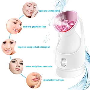 Wholesale Home Alcohol Based Cleanser Nano Spray Machine Body Bottle Disinfectant Face Vaporizer 3 In 1 Facial Mist Steamer