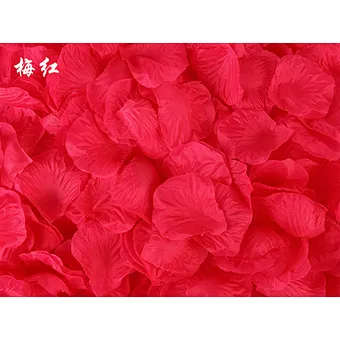 Wedding China Biodegradable Hot Sale Top Quality Good Looking Nice Holiday Effect Party Popper Supplies Red Rose Petal Confetti