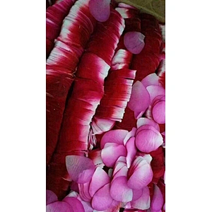 biodegradable flame proof color fast eco friendly tiffany blue flower petal confetti for party wedding supplies decoration stage