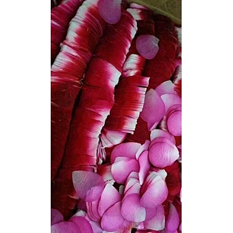 biodegradable flame proof color fast eco friendly tiffany blue flower petal confetti for party wedding supplies decoration stage