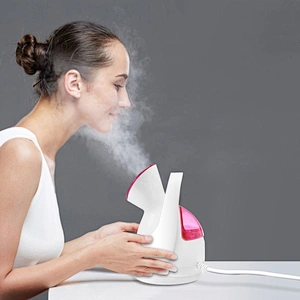Wholesale Home Alcohol Based Cleanser Nano Spray Machine Body Bottle Disinfectant Face Vaporizer 3 In 1 Facial Mist Steamer