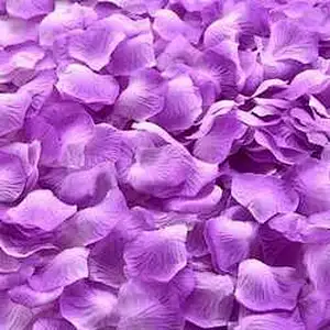 Amazon Hot Sell Artificial Rose Petals Satin Petals Silk Rose Petals For Wedding Decorations