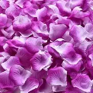 Amazon Hot Sell Artificial Rose Petals Satin Petals Silk Rose Petals For Wedding Decorations