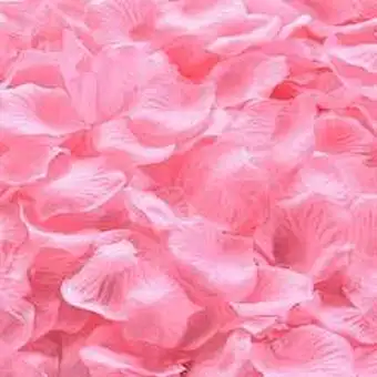 Amazon Hot Sell Artificial Rose Petals Satin Petals Silk Rose Petals For Wedding Decorations