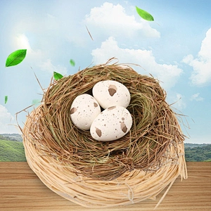 Factory handmade table ornament house shape woven wild eggs easter decoration birds nest