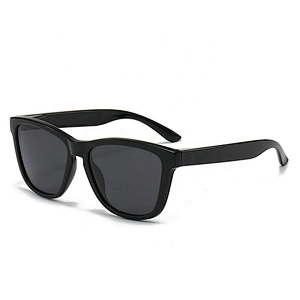 Made in China polarized custom logo sunglass uv400 glasses promotion matte black sunglasses