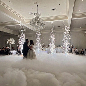 Stage Event Party Ti Powder 200g Stage Effect Smokeless Safety Powder Cold Spark Machine Wedding Pyrotechnics Metal Dust Sparkly