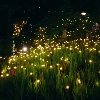 Led Solar Outdoor Waterproof Garden Walkway 6/8/10 Wind-powered Swaying Firefly Lamp Landscape Rgb Firework Holiday Light