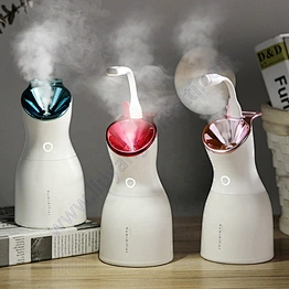 Steam Hair Warm Professional Home Use Skin Moisturizing 3 In 1 Mist Commercial Face Humidifier 2020 Nano Ionic Facial Steamer