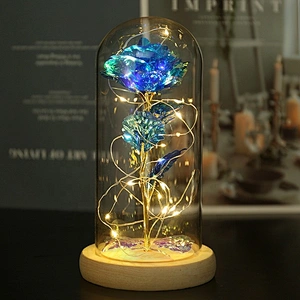 Girlfriend Valentines 2024 Led Light Glass Dome Galaxy Rose Flower Mini Bear For Christmas Valentine's Day Birthday Gift